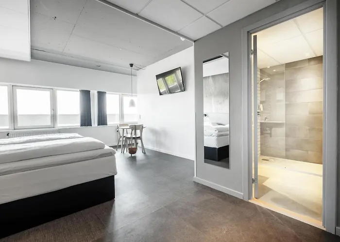 Ξενοδοχείο Four Points Flex By Sheraton Viby 3*